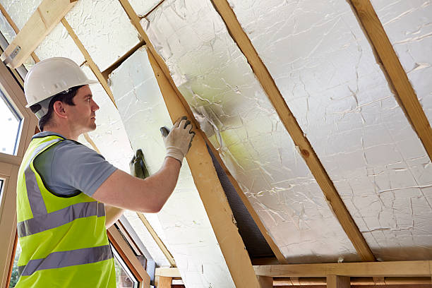 Best Geographic-Specific Insulation Services in Butte, AK